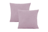 2Pcs Decorative Pillow Covers Pillowcase