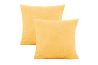 2Pcs Decorative Pillow Covers Pillowcase