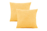 2Pcs Decorative Pillow Covers Pillowcase