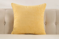 2Pcs Decorative Pillow Covers Pillowcase