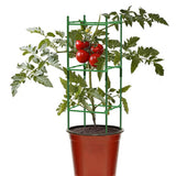 Indoor Plant Trellis Decorate Plant Stackable House Plant Trellis for Climbing Plants