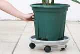 Plant Caddy with 4 Wheels and Drainage Tray