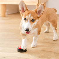 Pet Recordable Communication Button