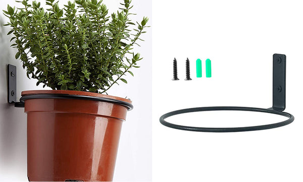 Metal Wall Plant Pot Loop Holder